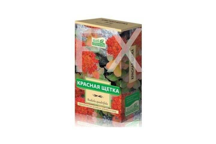 КРАСНАЯ ЩЕТКА (РОДИОЛА ЧЕТЫРЕХЧЛЕННАЯ) (ф/пак.) 1.5г n20 Хербес